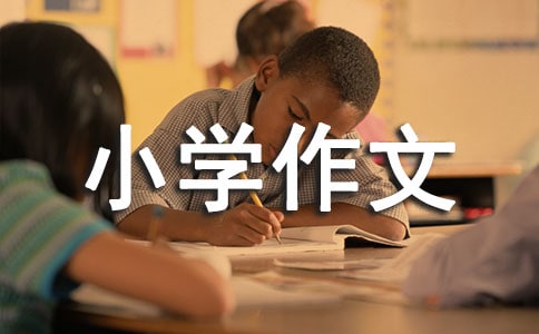 关于拍卖小学作文汇总9篇