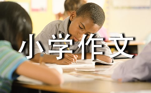 【热门】乐趣的小学作文合集9篇