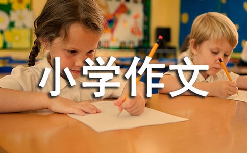 有关拍卖小学作文锦集7篇