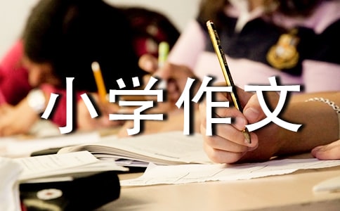 【推荐】拍卖小学作文300字4篇