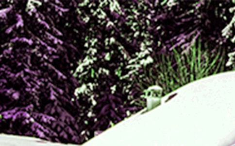 有关小雪节气的祝福语