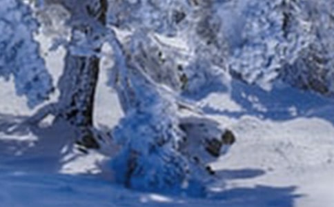 小雪节气句子经典