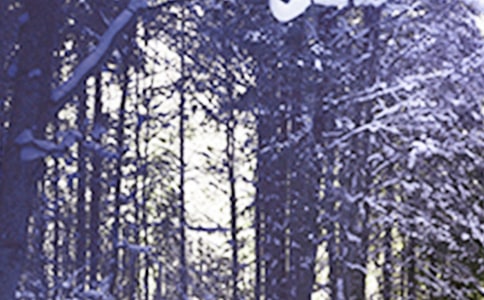 小雪问候语43句