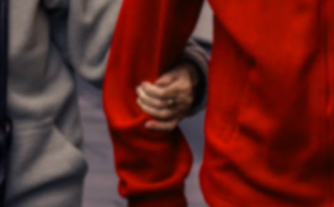 ����Т˳�ľ���