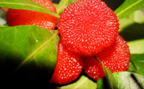 ��÷Сѧ����