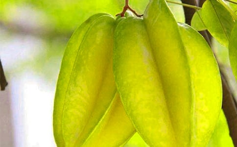 �������ҡ������