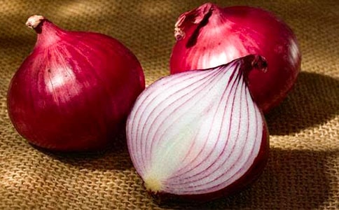 洋葱头历险记读后感