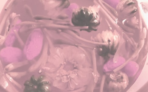 养生的经典句子