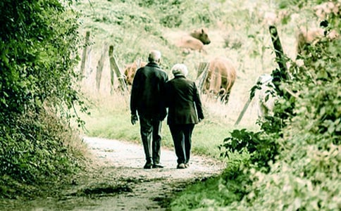 我的爷爷小学作文