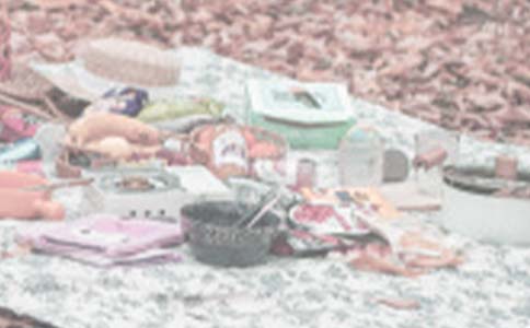 ���ֵ�Ұ���ռ�