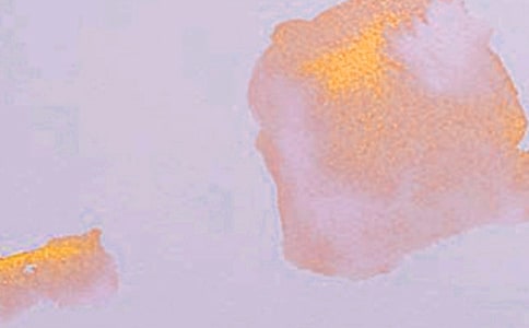 Сѧ�����ߵ���������