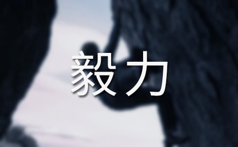 ��������־����