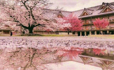 ���꼶ӣ������