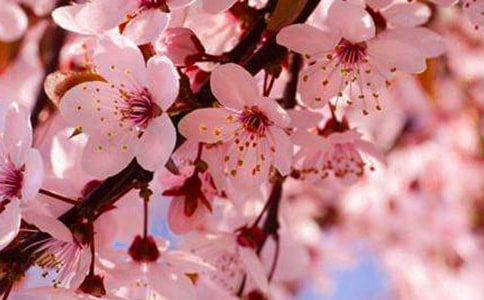 ��ӣ���к��������