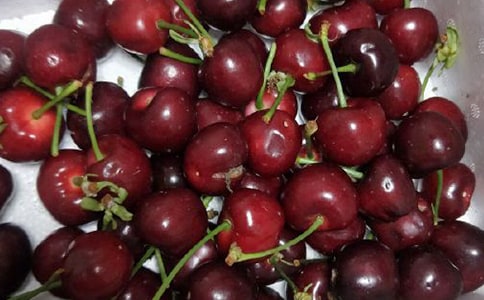 ժӣ�����꼶����