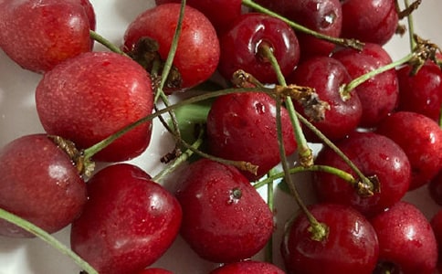 ���⹫�ǿ�ӣ�����������