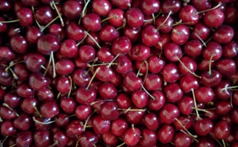 �⹫�ǿ�ӣ���������