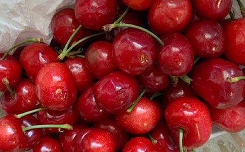 外公是棵樱桃树读后感15篇