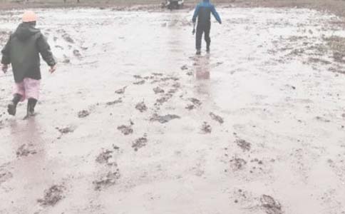 油田安全生产心得体会(通用5篇)