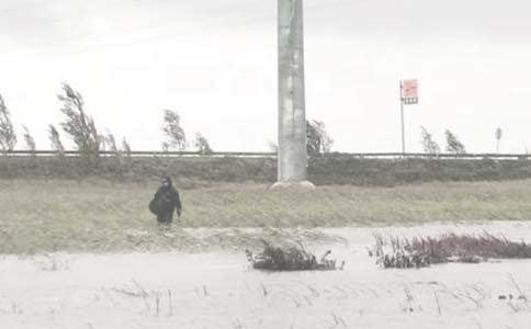 ����ʵϰ����