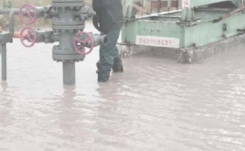 ���﹤���ܽ�