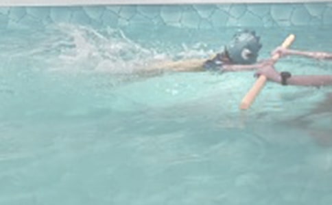 关于游泳日记模板锦集10篇