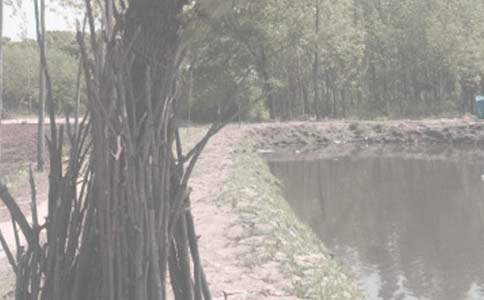 �������޺�ͬ15ƪ�����㣩