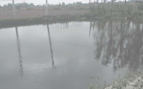 ����Ȩת�ú�ͬ