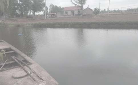 �������޺�ͬ����15ƪ