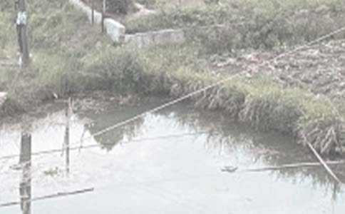 农村鱼塘承包合同实用【14篇】