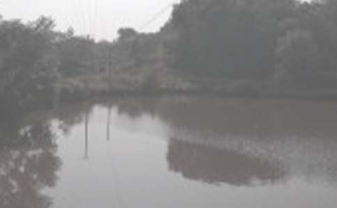 �����а���ͬ����