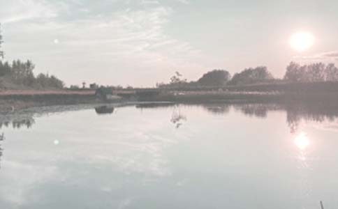 �������޺�ͬ15ƪ[����]