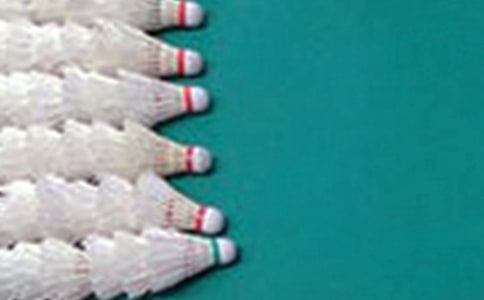 ����ë����ռǷ��Ľ���10ƪ