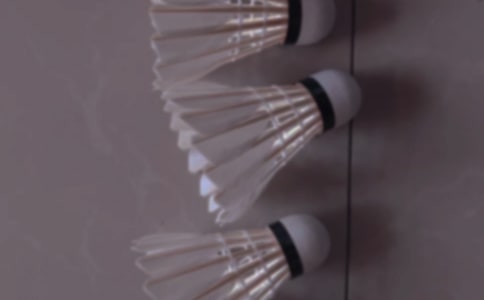 �й���ë���Ψ������