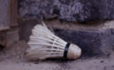 打羽毛球的日记三篇