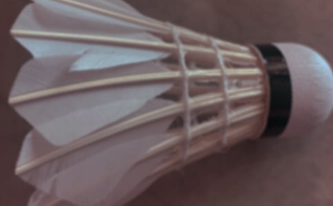 【精品】打羽毛球的日记4篇