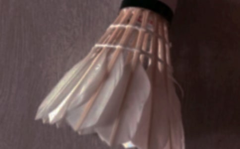 打羽毛球的日记汇总8篇