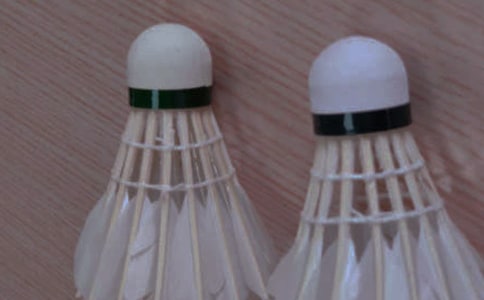 打羽毛球小学作文