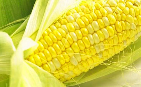 玉米购销合同(集合14篇)