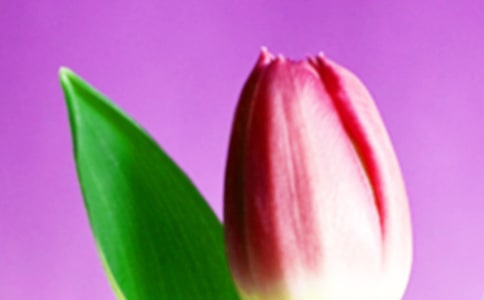 ���������꼶����