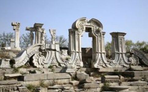 (精选)圆明园的毁灭读后感14篇