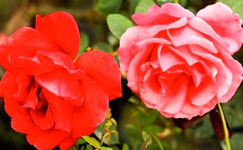 2023��ͨ�������¼����ľ���24��