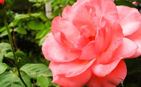 ͨ�������¼����ľ���28��