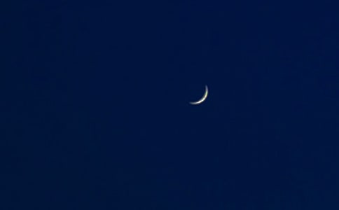 《月亮上的风》读后感