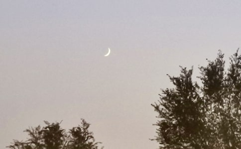 ������������ʿ�������(15ƪ)