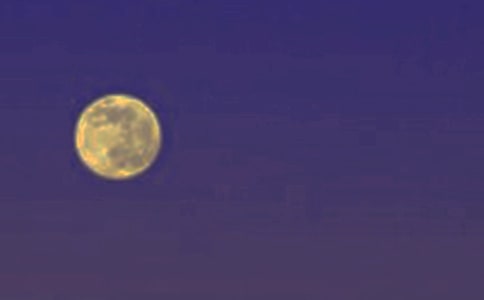 花好月圆祝福语