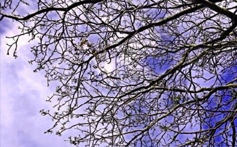 2025年简洁的动人的早安问候语集合45句