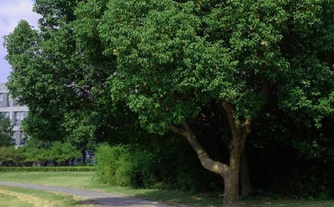 ��̵�ÿ��һ���簲QQ�ʺ���40��