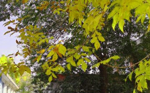 ��ѡ�ʺϸ����ѵ��簲΢���ʺ������60��