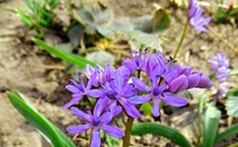 【实用】2025年治愈系早安朋友圈问候语大集合65条